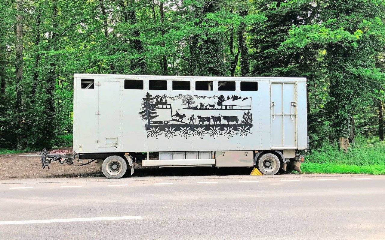 Tierhalter sind für den tierschutzkonformen Transport ihrer Tiere verantwortlich. Dazu gehört, weitere Beteiligte über Krankheiten und Verletzungen in Kenntnis zu setzen.