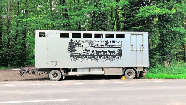 Tierhalter sind für den tierschutzkonformen Transport ihrer Tiere verantwortlich. Dazu gehört, weitere Beteiligte über Krankheiten und Verletzungen in Kenntnis zu setzen.