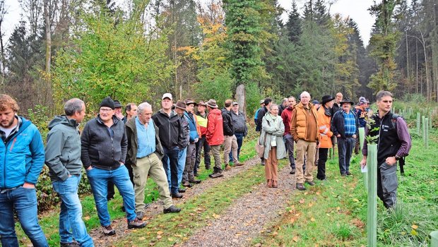 Revierförster Marc Mäder (rechts) erzählt den Teilnehmenden, warum die Burgergemeinde auf dieser Waldparzelle auf die Eiche gesetzt hat. Vorher standen hier Eschen, die dem Eschentriebsterben zum Opfer fielen. 