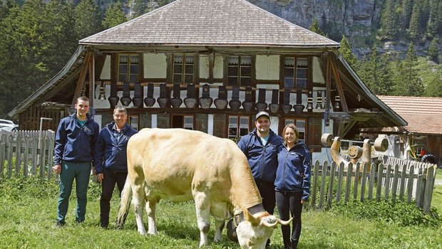 Die BauernZeitung begleitete dieses Jahr die Familie Hanspeter Ryter aus Kandergrund mit ihrer berühmten Simmentalerkuh Amylou. Von der BEA in Bern bis hin zum Alpabzug. 