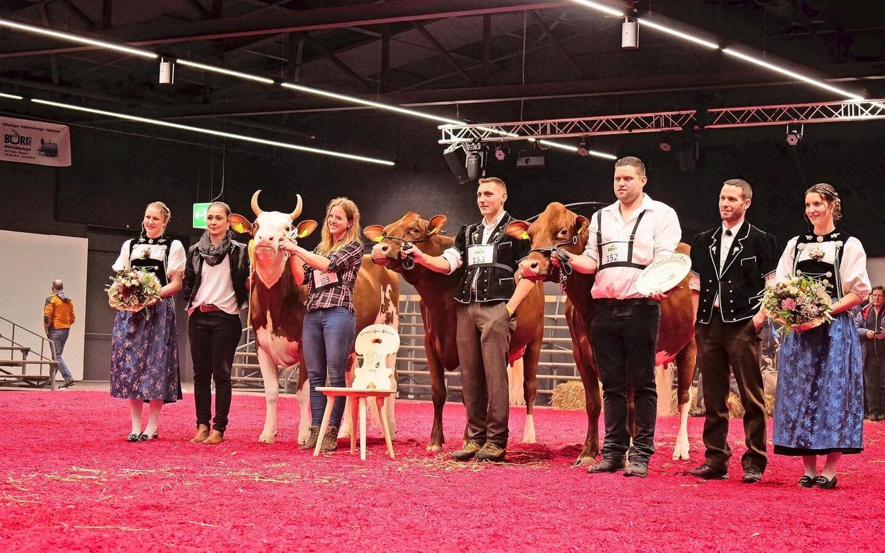 SF Kühe: Mention: Panoramahof Kilian Unique; Champion: Gulliver Meggitt; Reserve: Hamilton Kyla (v.l.n.r.).