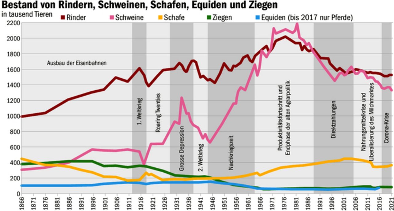 Am augenfälligsten ist die Zunahme des Schweizer Schweinebestands nach dem Ende des Zweiten Weltkriegs. Der Aufschwung brachte Geld für den Kauf von Milch- und Fleischprodukten.