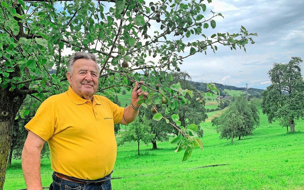 Auf der Schindelweid stehen wieder 60 Hochstammbäume, die Peter Stutzer selber pflegt. 