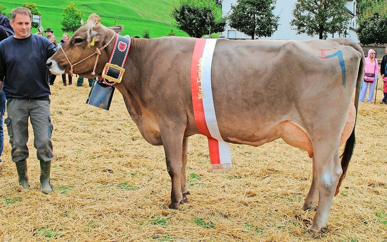 Miss Einsiedeln: Die euterstarke Pete Patty von Roland Kälin, Euthal.