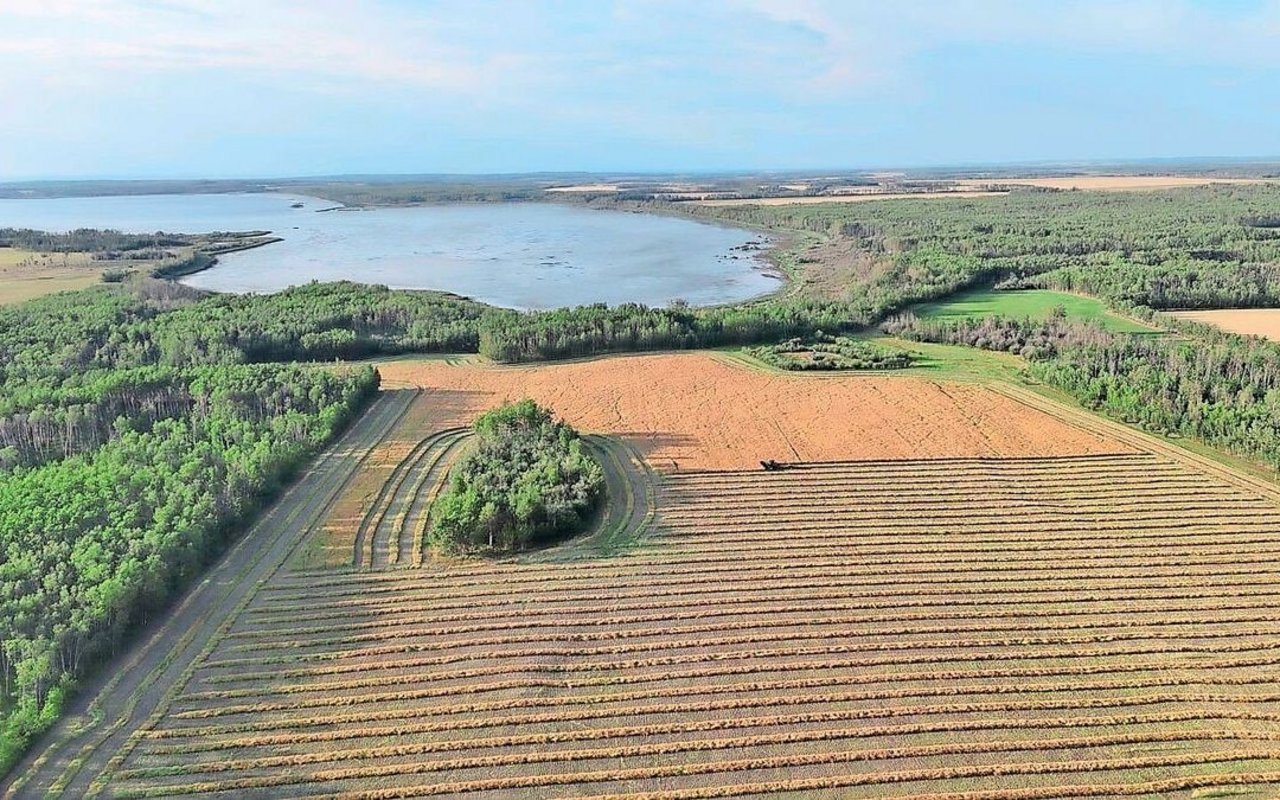 Eine schöne Aussicht auf den Cecil Lake, von dem die Ortschaft ihren Namen hat. Das Rapsfeld bewirtschaftet Marianne Stamms Bruder Fred. 