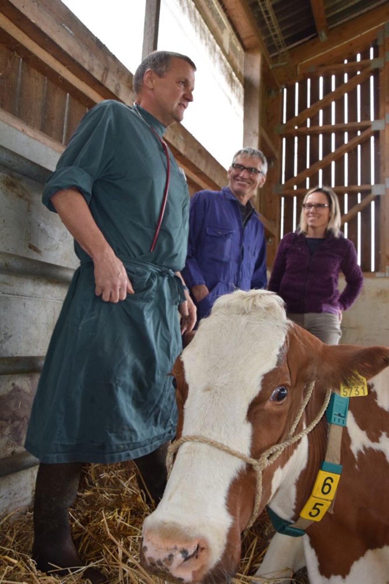 Sie haben einiges durchgemacht: Veterinär Walter Fürer, Fritz Stettler, Judith Hübscher und eine der noch vom Erreger gezeichneten Kühe. 