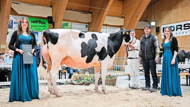 La Chapell Hotline Ibiza von Stefan Waser aus Wädenswil wurde Senior Champion bei den Holstein. Richter Christian Schuwey beschrieb sie als «Fehlerlose komplette Kuh mit enormer Kapazität». 