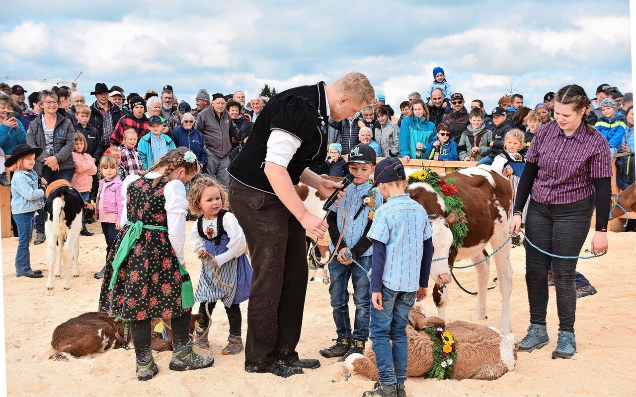 Der Schwinger Michael Ledermann moderierte den Kälberwettbewerb. 