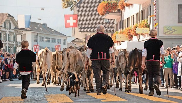 Familie, Berufskollegen, Vereine: Landwirten fehlt wegen der Arbeitsbelastung zunehmend die Zeit für soziale Kontakte. Einsamkeit ist aber kaum ein Thema.