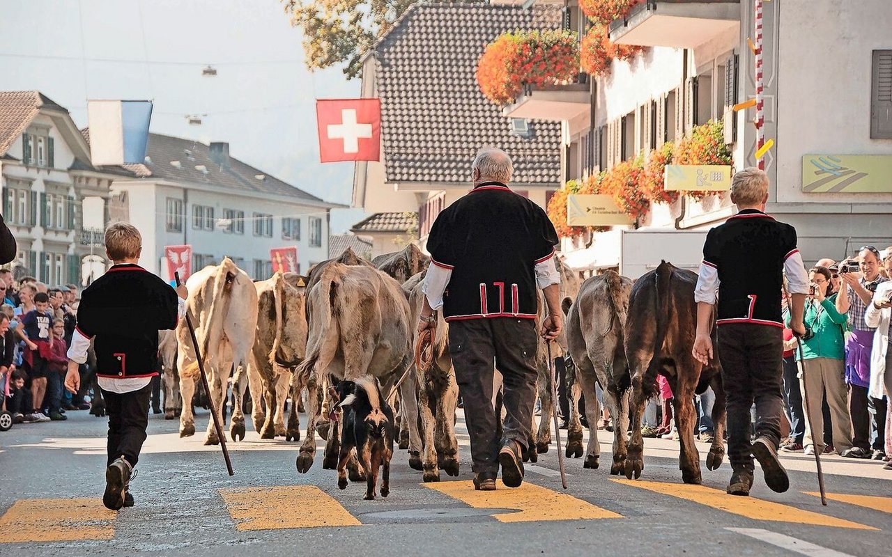 Familie, Berufskollegen, Vereine: Landwirten fehlt wegen der Arbeitsbelastung zunehmend die Zeit für soziale Kontakte. Einsamkeit ist aber kaum ein Thema.