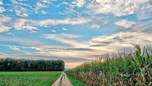 Wo führt der Weg der Schweizer Landwirtschaft hin und welche Rolle spielt dabei die Forschung?