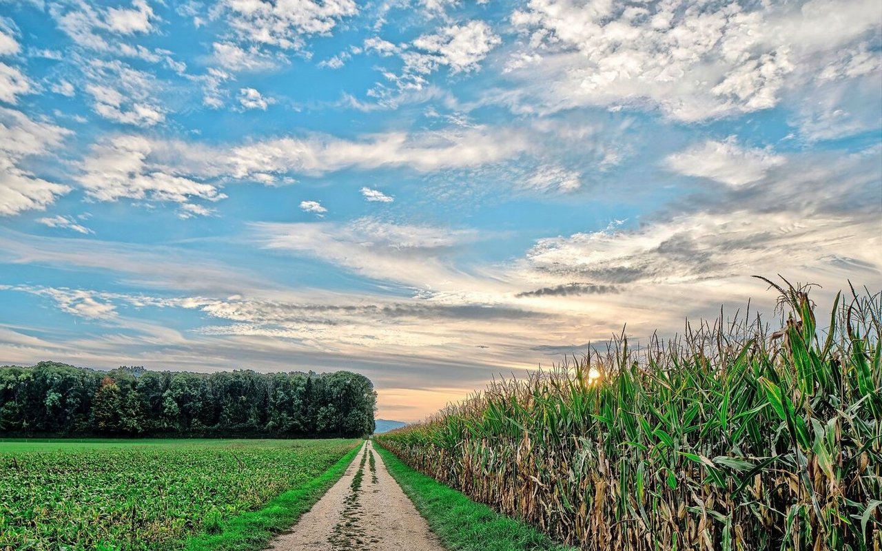 Wo führt der Weg der Schweizer Landwirtschaft hin und welche Rolle spielt dabei die Forschung?