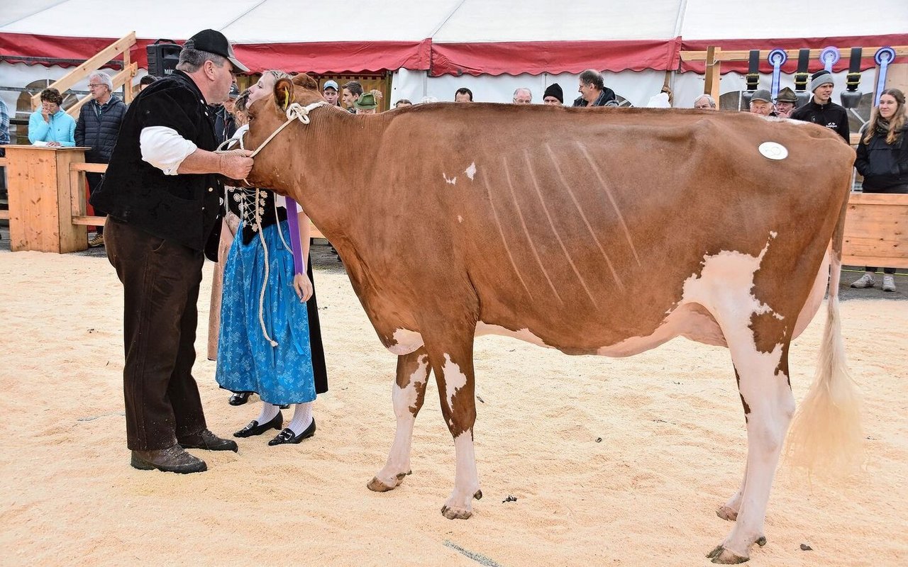 RH/HO-Junior-Siegerin wurde die auffällige Gurtner’s Evert Sira von Hans Gurtner aus Schwarzenburg. 