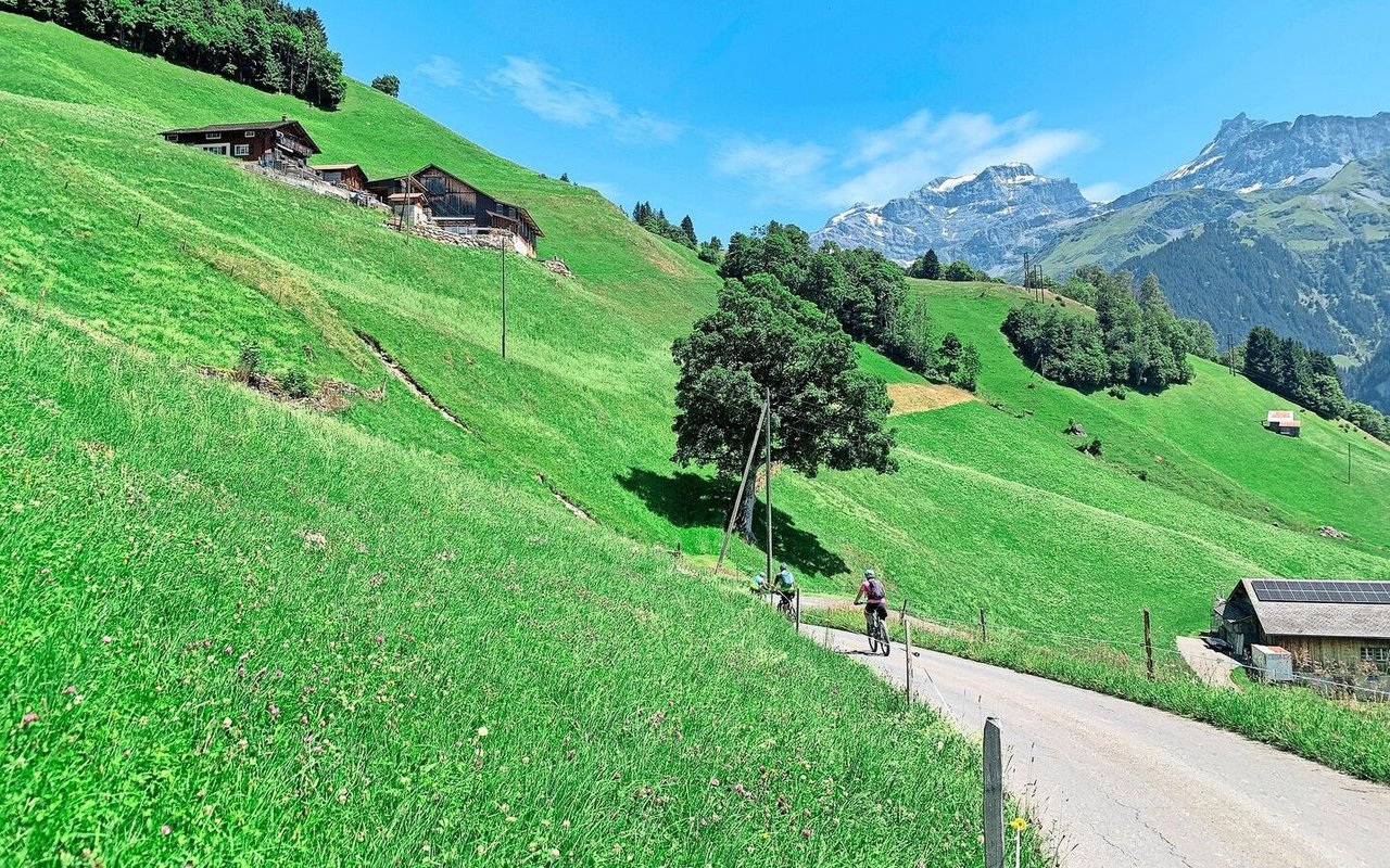 Kleinflächig, tiefere Tierzahlen, aber arbeitsintensiv. Das zeichnet viele Urner Betriebe aus. Das Bild zeigt die steilen Lagen im Schächental. 