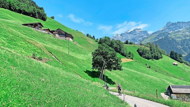 Kleinflächig, tiefere Tierzahlen, aber arbeitsintensiv. Das zeichnet viele Urner Betriebe aus. Das Bild zeigt die steilen Lagen im Schächental. 