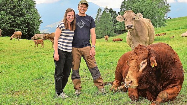 Priska und Flavian Schwitter, die Gewinner des diesjährigen Innovationspreises des Nidwaldner Bauernverbandes, mit ihrem sichtlich entspannten Muni Cäsar und einer seiner Herzdamen.