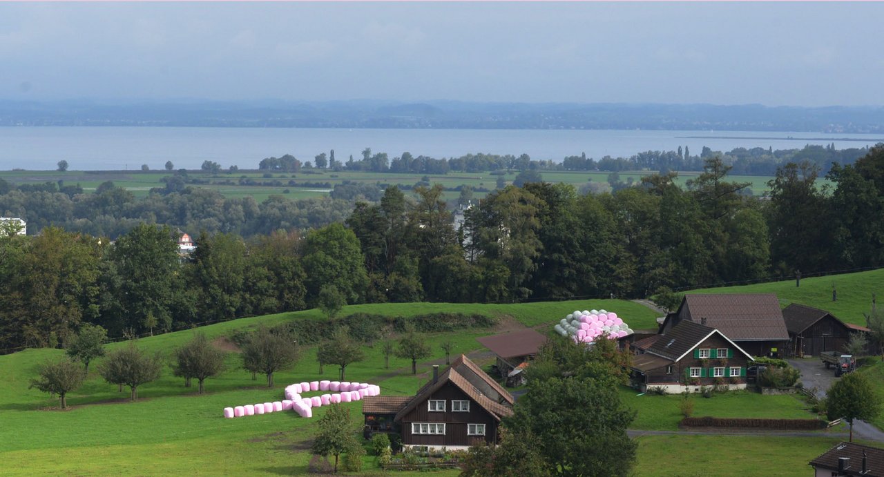 Die pinke Schleife auf dem Feld (Bild zvg)