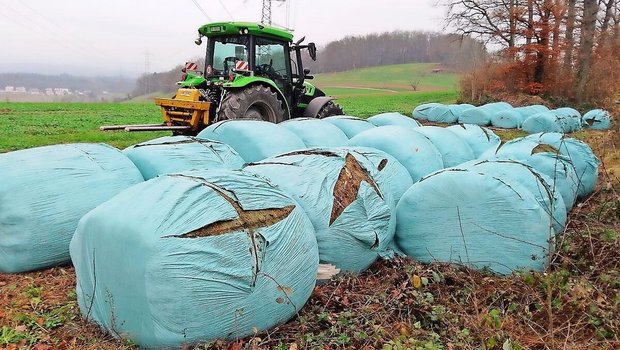 Die unbekannten Täter verursachten Ärger und Mehrarbeit. Die Grassilage wurde neu gewickelt. Dazu kommt die Sorge um die Silagequalität und ob die Täter erneut zuschlagen werden.