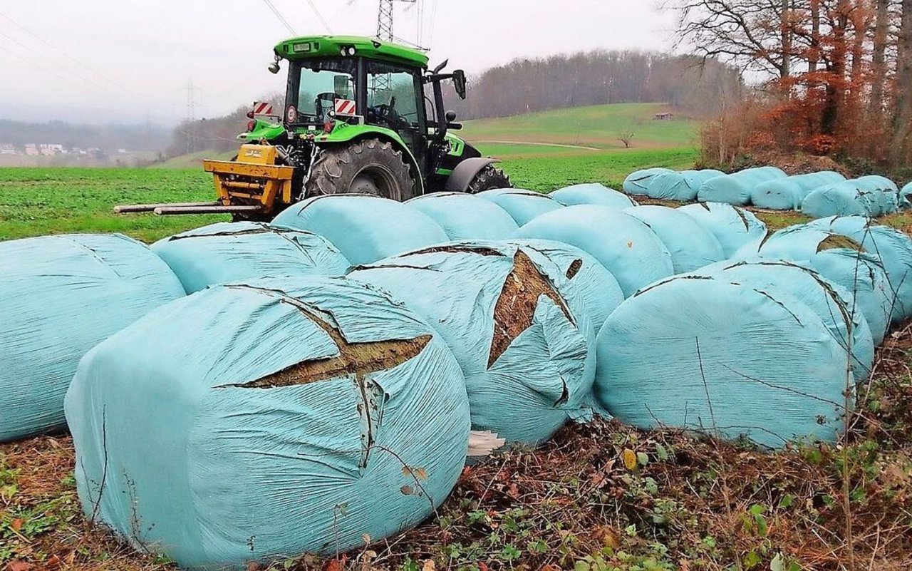 Die unbekannten Täter verursachten Ärger und Mehrarbeit. Die Grassilage wurde neu gewickelt. Dazu kommt die Sorge um die Silagequalität und ob die Täter erneut zuschlagen werden.