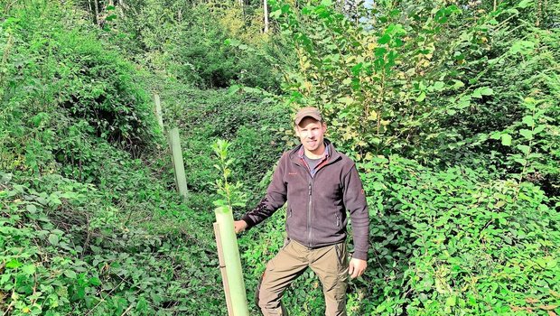 Stefan Hüsler bei einer ausgemähten jungen Eiche. Die Waldparzelle war 2021 von einem Sturm betroffen. In der lückigen Fläche wurde der bestehende Fichten- und Tannenbestand mit Eichen und Spitzahorn ergänzt. 