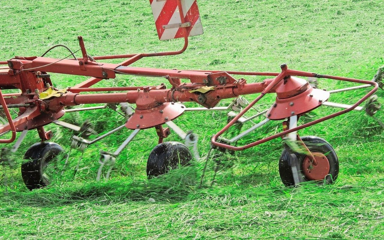 Bei höheren Temperaturen erhöht sich auch die Aktivität von Bakterien und Hefen. Das beschleunigt den Silierprozess in der Regel. Aber bei unreinem Ausgangsmaterial kann das zu Problemen führen.