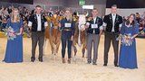 SF-Junior-Siegerin Kilian Ascona (r.), Andreas Dürrenmatt, Riedstätt; Reserve: Lauro Sunny Red, Florian Oehrli, Teuffenthal. (Bild: Peter Fankhauser)