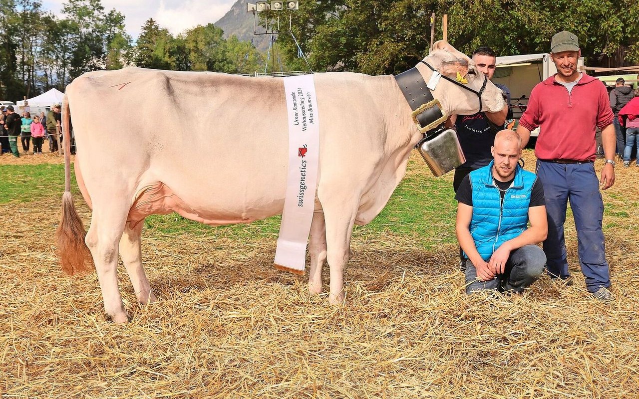 Bi Alley von Karl und Claudio Gisler vom Haldi ob Schattdorf wurde Miss der Brown-Swiss-Kühe und Eutersiegerin mittlere.