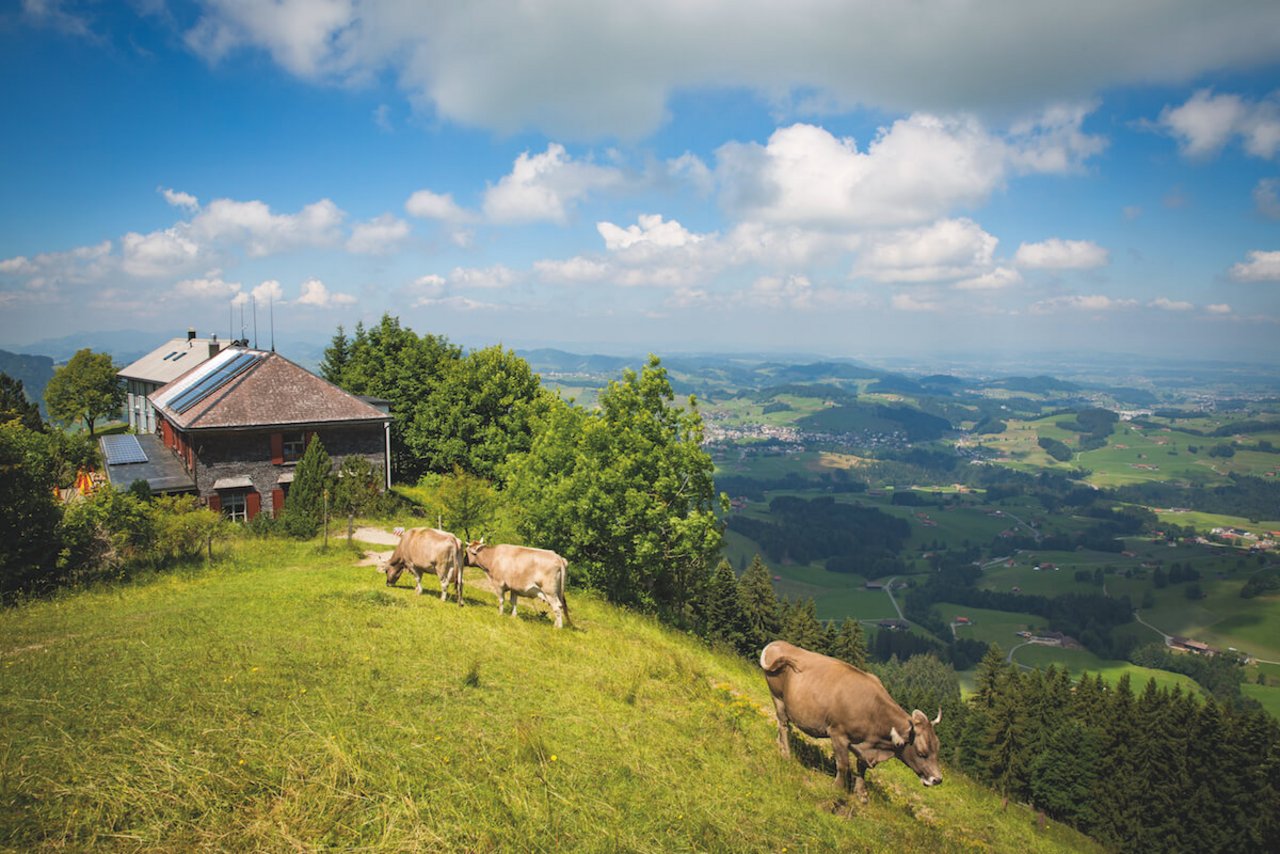 Die Hundwiler Höhe liegt auf 1309 Metern im Appenzellerland und bietet eine grandiose Aussicht. (Foto: Philipp Griesemer)