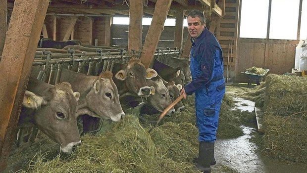 SMP-Kandidat Urs Werder führt im Toggenburg einen Biobetrieb. Auf die Braune Rasse setzt er, weil es unproblematische und langlebige Kühe sind und weil er Freude an der Zucht hat.