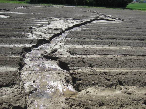 Erosion: Tendenz In Der Schweiz Sinkend - Bauernzeitung.ch | BauernZeitung