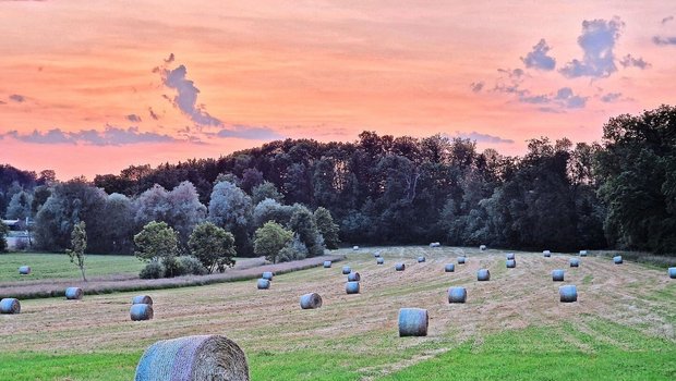 In der Landwirtschaft sind die Tage lang und die Arbeit körperlich fordernd. Welche (finanziellen) Vorteile in der Einkommens-Berechnung berücksichtigt aber werden sollten, ist umstritten.