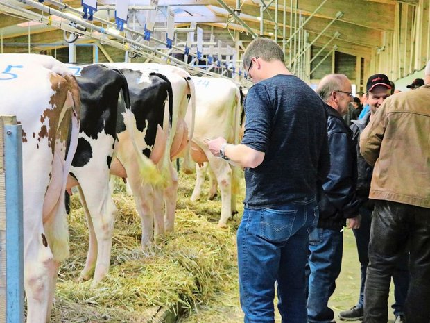 Im Vergleich zum Ausland werden Tiere in der Schweiz häufig verstellt. Das erhöht die Verbreitung von Krankheiten und Seuchen. Der Kantonstierarzt Grégoire Seitert ist aber zuversichtlich, «dass wir BVD ausrotten können».