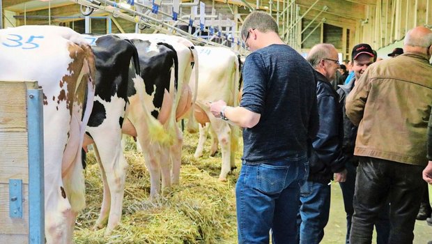 Im Vergleich zum Ausland werden Tiere in der Schweiz häufig verstellt. Das erhöht die Verbreitung von Krankheiten und Seuchen. Der Kantonstierarzt Grégoire Seitert ist aber zuversichtlich, «dass wir BVD ausrotten können».