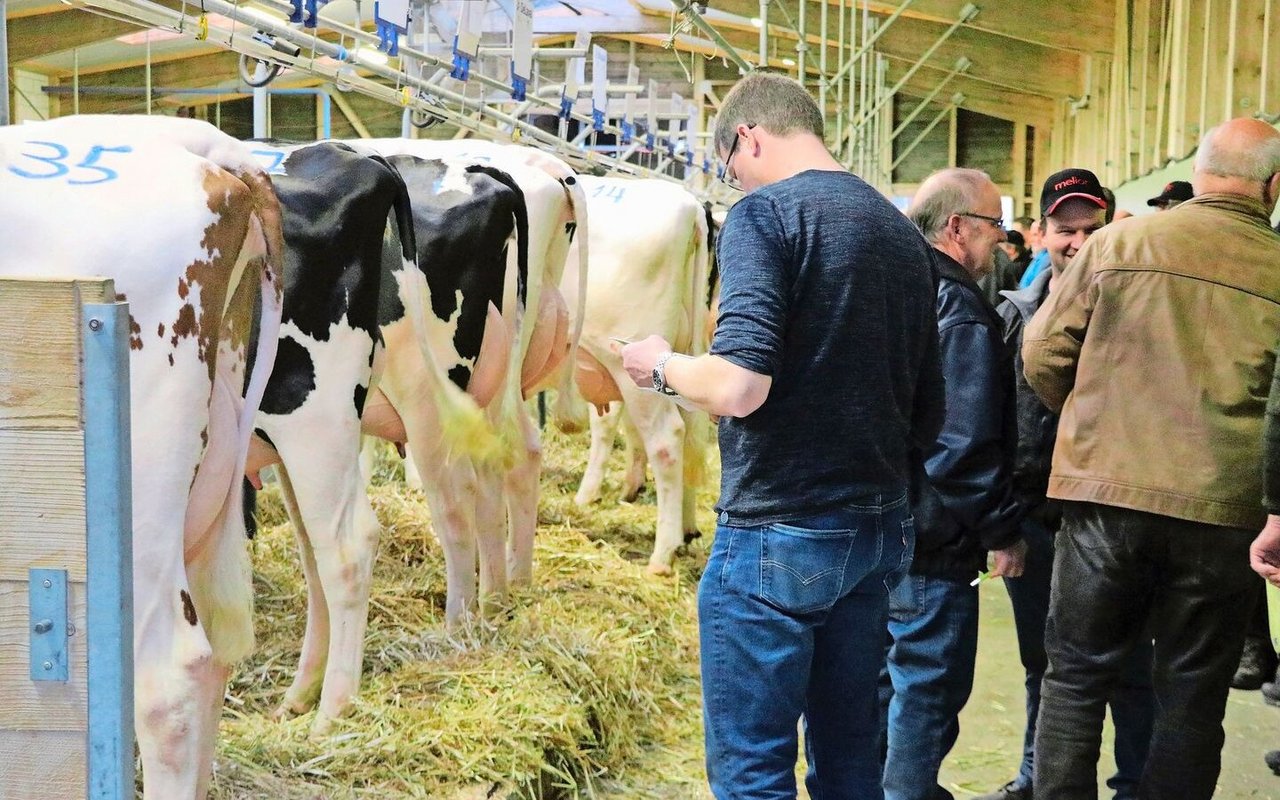 Im Vergleich zum Ausland werden Tiere in der Schweiz häufig verstellt. Das erhöht die Verbreitung von Krankheiten und Seuchen. Der Kantonstierarzt Grégoire Seitert ist aber zuversichtlich, «dass wir BVD ausrotten können».