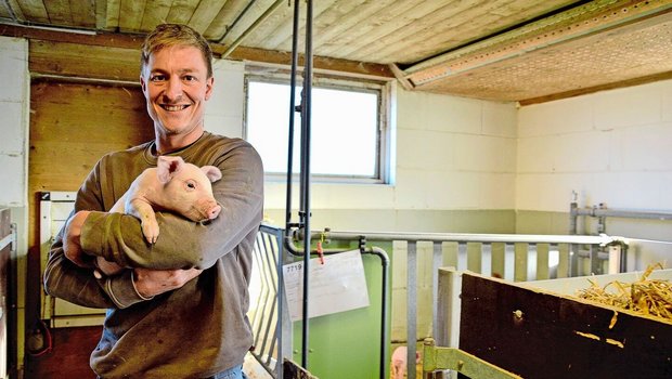 Auf Schweine spezialisiert: Michael Hunkeler in einem der Abferkelzimmer auf seinem Betrieb im luzernischen Altishofen.