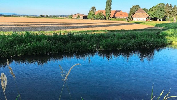 Der Aktionsplan Pflanzenschutzmittel des Bundes zeigt Wirkung, das Risiko einer Belastung konnte insbesondere für das Grundwasser deutlich gesenkt werden.