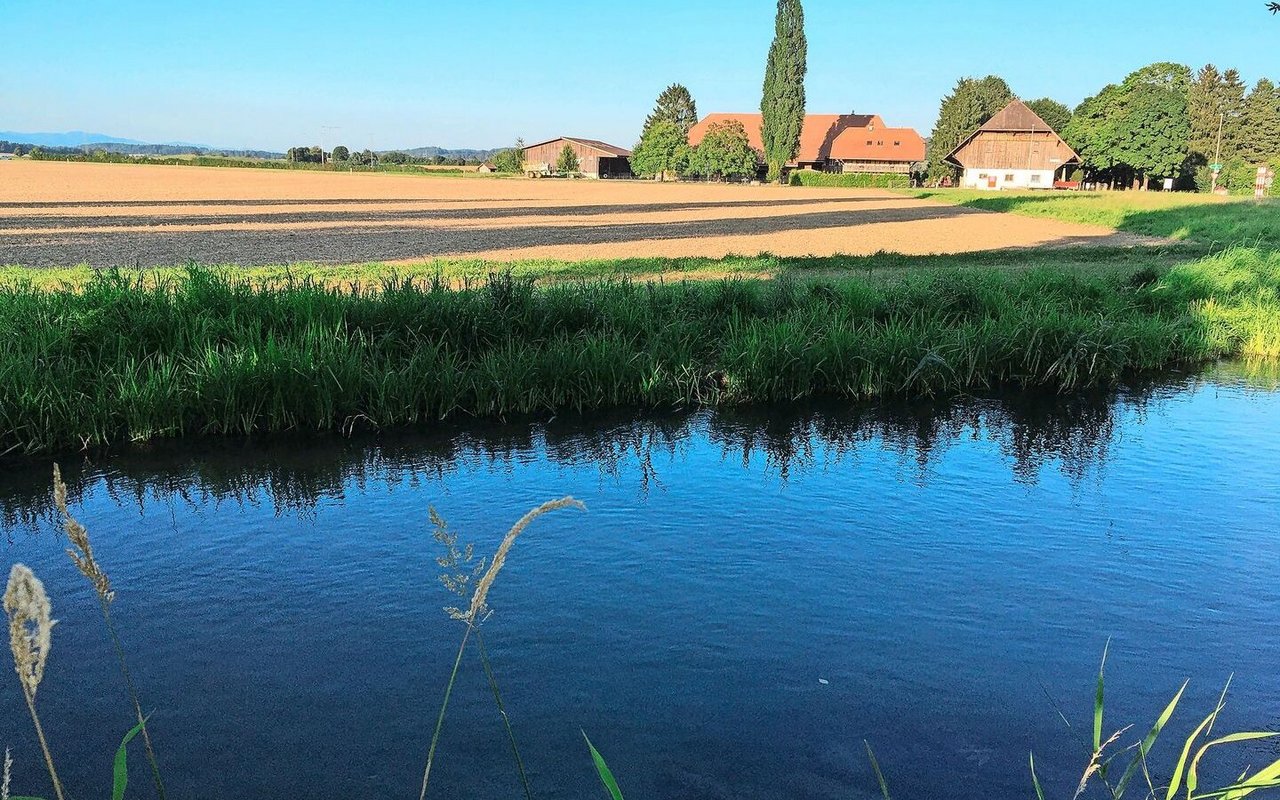 Der Aktionsplan Pflanzenschutzmittel des Bundes zeigt Wirkung, das Risiko einer Belastung konnte insbesondere für das Grundwasser deutlich gesenkt werden.