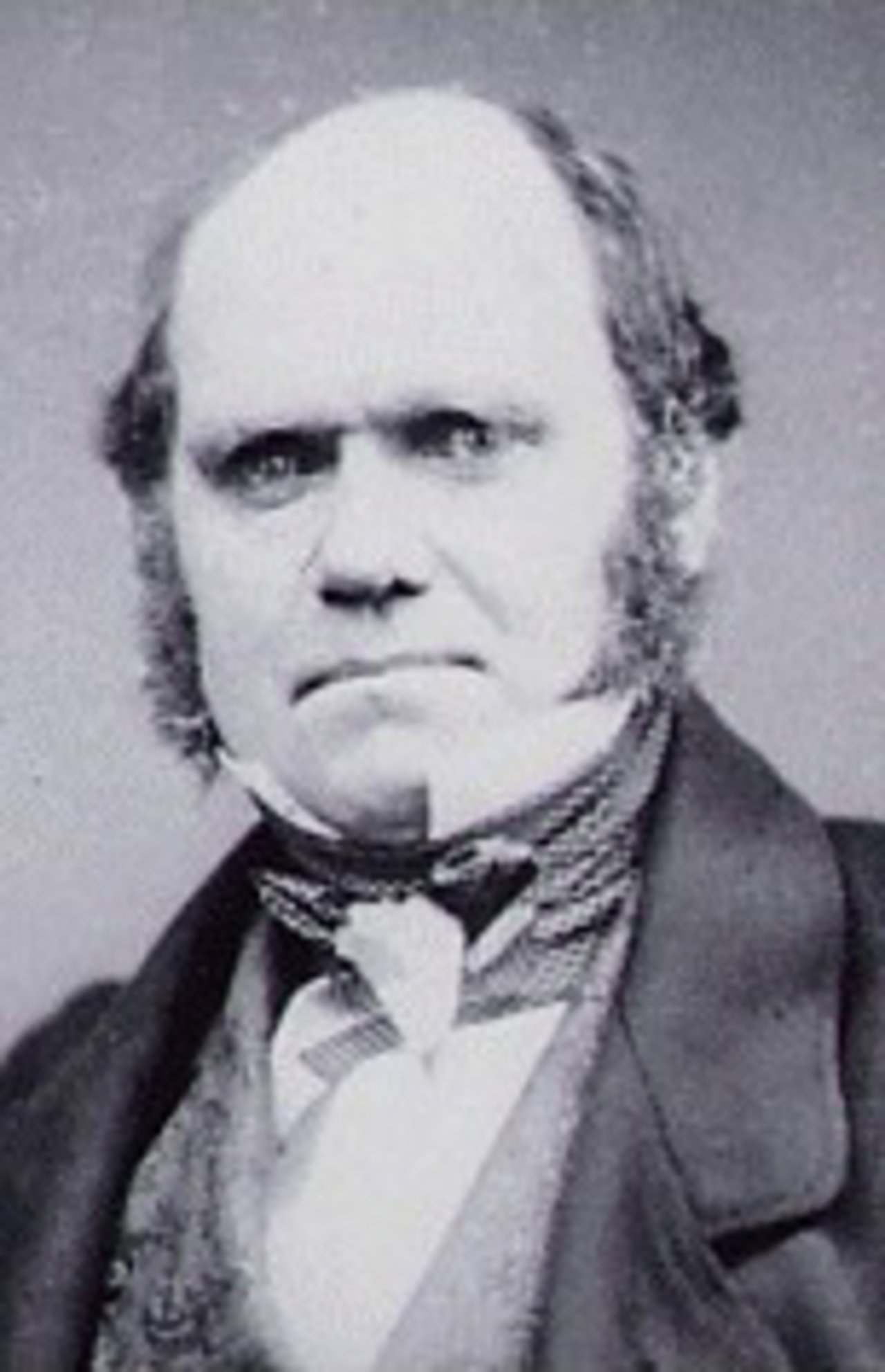 Ausschnitt aus einer Fotografie von 1854, die Charles Darwin im Alter von 45 Jahren zeigt. (Bild: zVg)