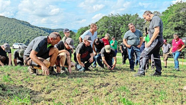 Interessiert begutachten die Teilnehmenden der Übersaaten-Demo im solothurnischen Kienberg die frisch übersäte Versuchsfläche. 