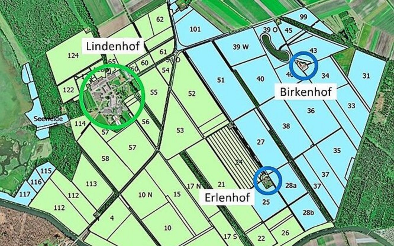 Die blaue Fläche wird abgegeben. Der grüne Bereich zeigt die verbleibende Fläche der JVA Witzwil. Schwarz eingefärbt sind Windschutzstreifen, bestehend aus Hecken, Wald und Gewässern.