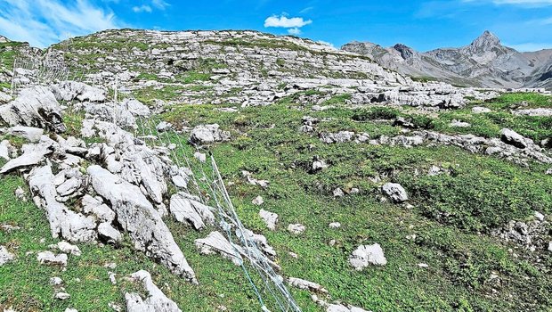 Elektrische Schafnetze auf Alpen im unwegsamen Gelände fachgerecht aufzustellen, ist enorm aufwendig und nicht überall praktikabel. Auch Herdenschutzhunde können, insbesondere in Tourismusgebieten, zu Problemen führen. 