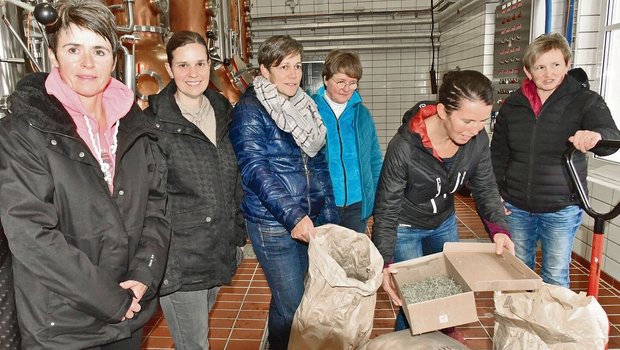Diese Frauen produzieren neun der 42 Kräuter, die im Likör Appenzeller Alpenbitter drin sind.