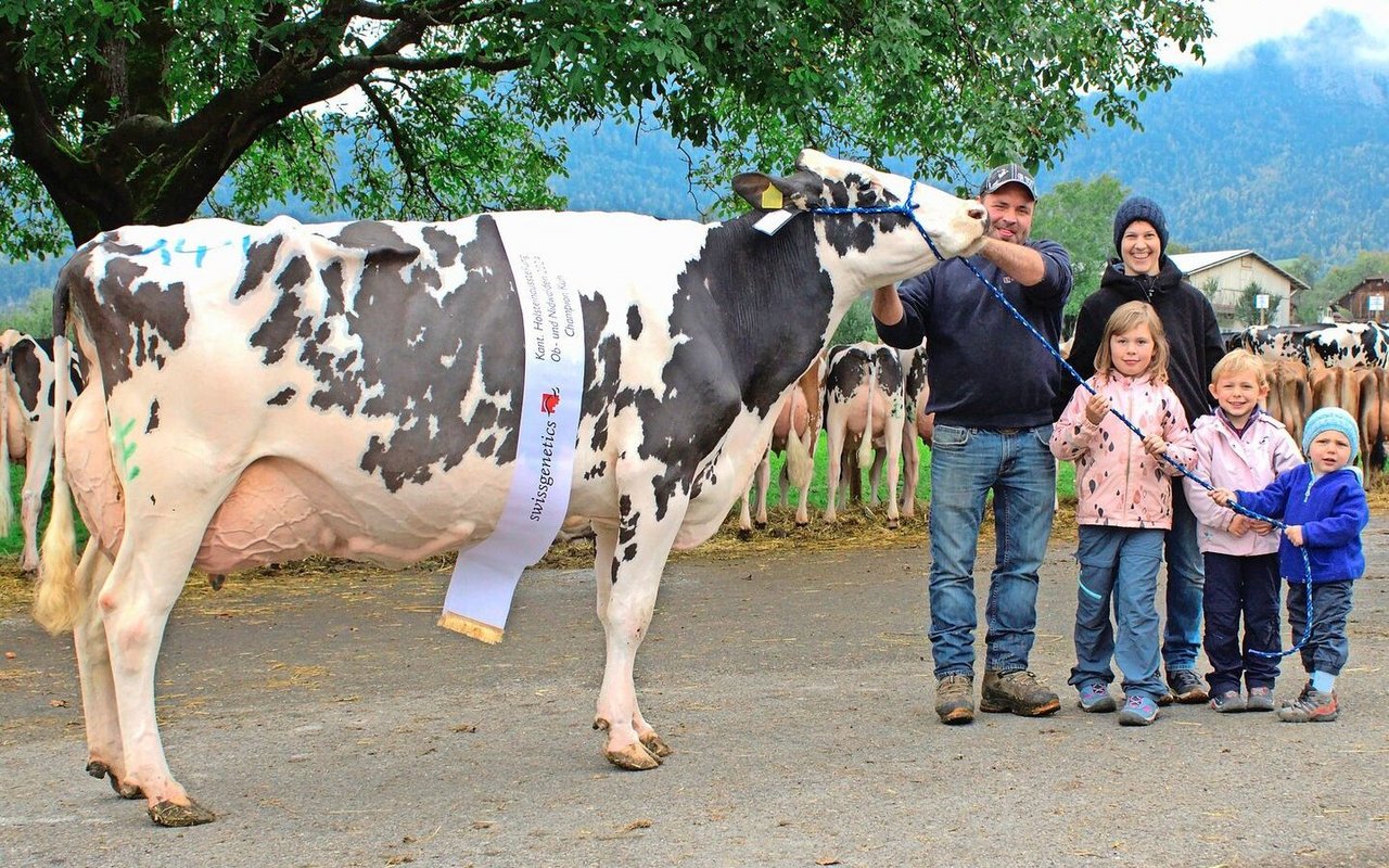 Die kapitale Holsteinkuh Pirate Kobra von V-Cows, Giswil, war Titelverteidigerin und wurde dieses Jahr erneut Champion.