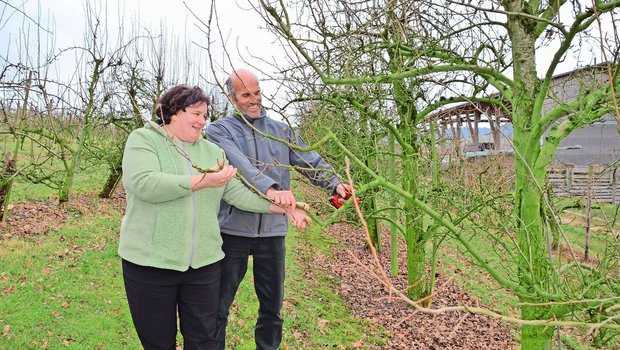 Gemeinsam arbeiten: Susanne und Andreas Hedinger beim Schneiden der Obstbäume. 