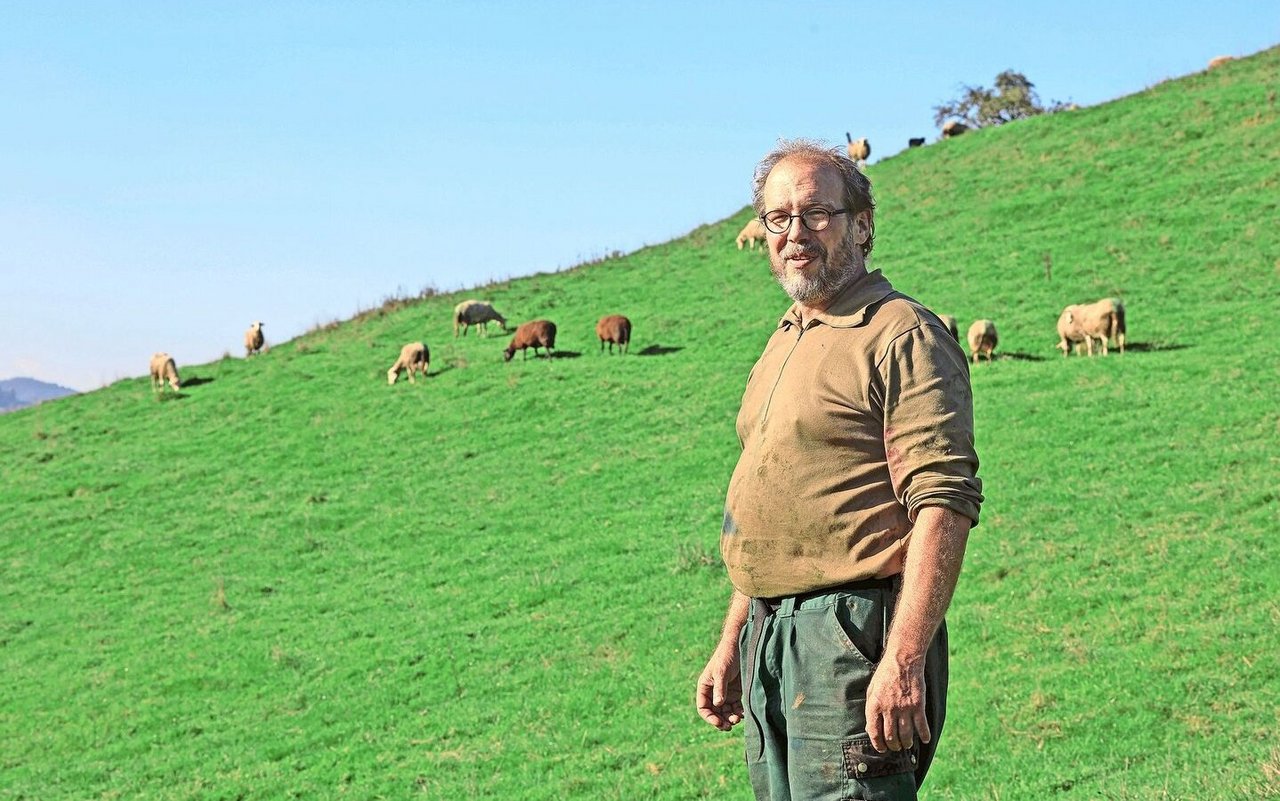 Christian Strub aus Oberuzwil SG hält Milchschafe. Seitdem das Blauzungenvirus auf seinem Betrieb ist, sind 25 seiner Tiere verstorben, viele Schafe sind geschwächt, die Leistungen eingebrochen. 