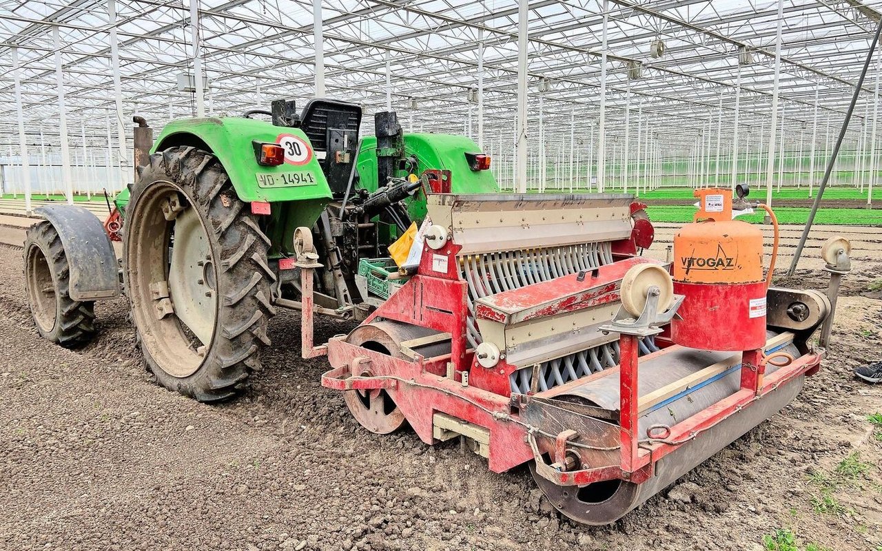 In den Gewächshäusern kommt leichte, bodenschonende Mechanisierung zum Einsatz. 