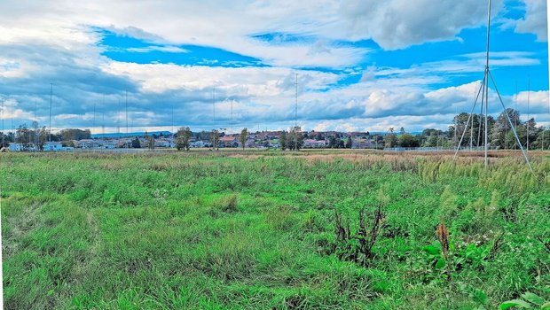 In St-Aubin, auf dem Areal der Agrico, soll der neue Micarna-Schlachthof erstellt werden. Umweltorganisationen versuchen, das Leuchtturmprojekt der Nachhaltigkeit auszubremsen. 