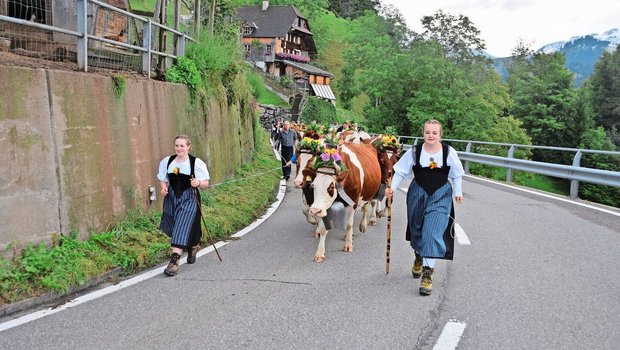 Lea und Antonia Haldimann vorneweg: Ganze 22,5 km lang ist der Fussmarsch von der Alp Rufeli bis nach Hause. Die Kühe sind wunderschön mit Blumen und Treicheln geschmückt.