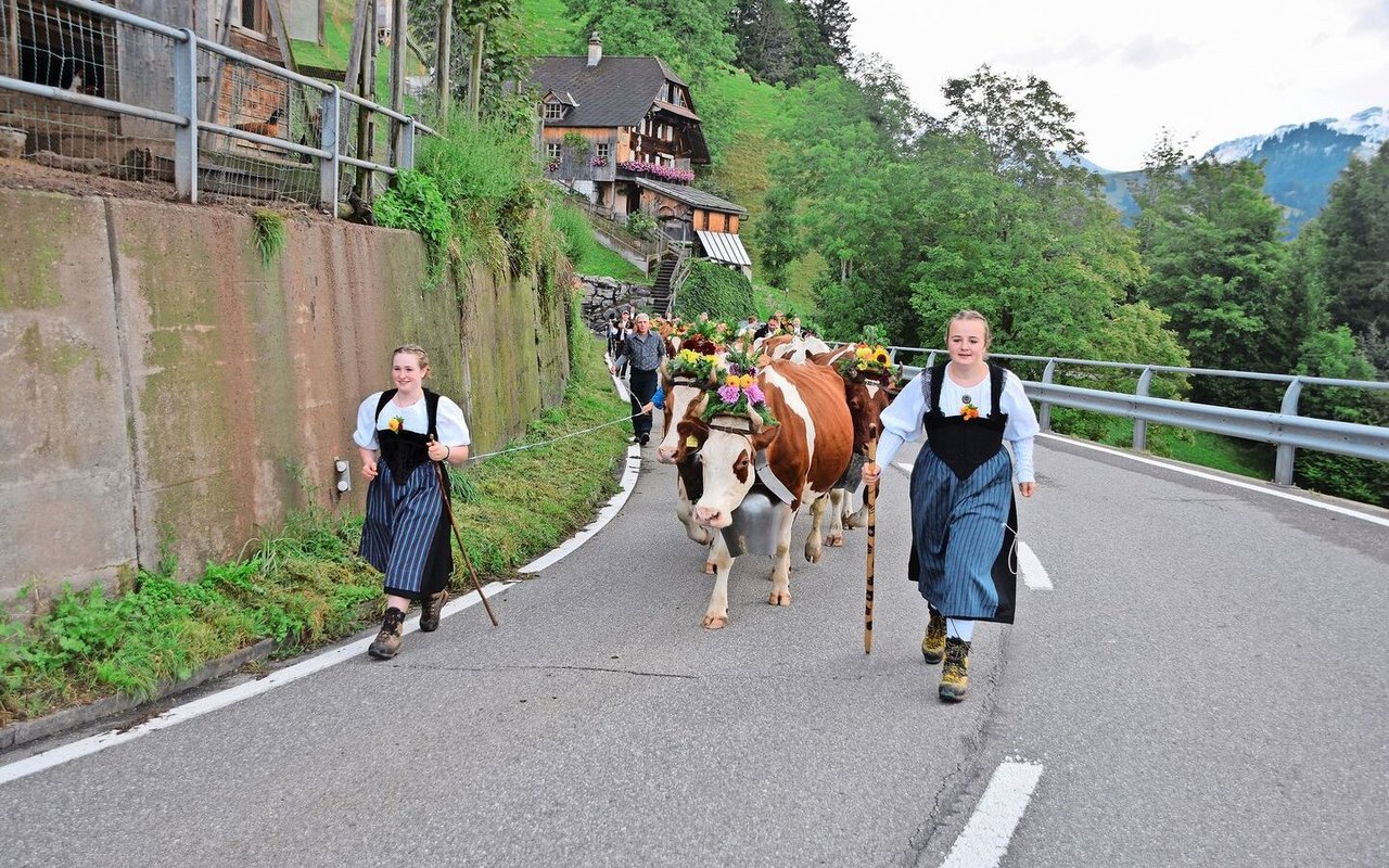 Lea und Antonia Haldimann vorneweg: Ganze 22,5 km lang ist der Fussmarsch von der Alp Rufeli bis nach Hause. Die Kühe sind wunderschön mit Blumen und Treicheln geschmückt.