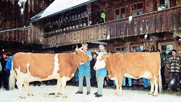 Das Bild ist jetzt 20 Jahre alt. Schon im Jahr 2005 besuchten die SF-Züchter den Betrieb von der Familie Hadorn in Schangnau. Hier mit den Kühen Pickel Arosa (l.) und Pickel Azzura. Am 1. Februar öffnen Hadorns wieder die Stallstüren für die IG Swiss Fleckvieh.